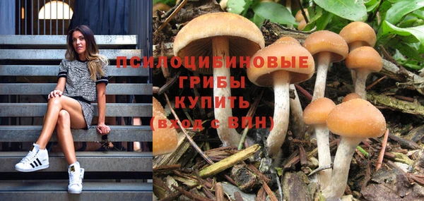 соль курить ск Снежинск