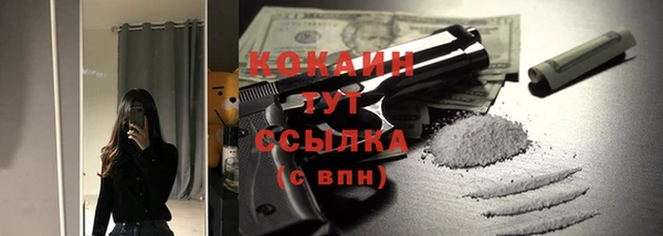 молекула духа Снежногорск
