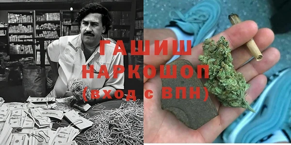 молекула духа Снежногорск