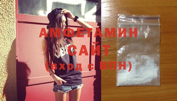 молекула духа Снежногорск
